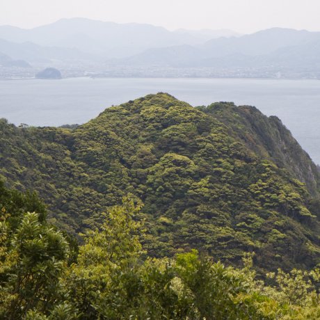 Omi Island