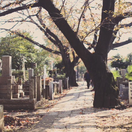 Yanaka