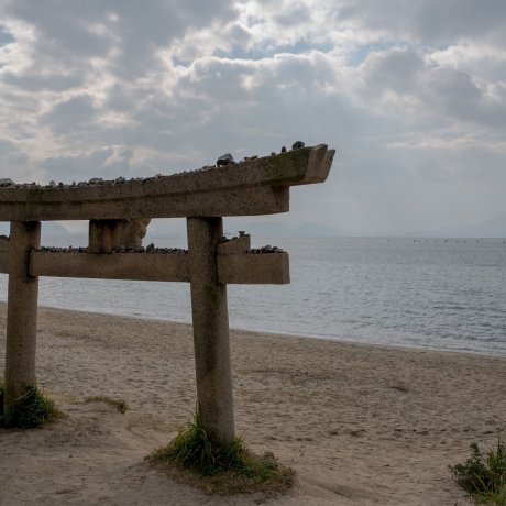 Naoshima Island
