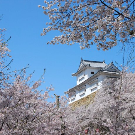 Tsuyama