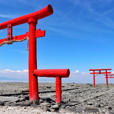 Ogi