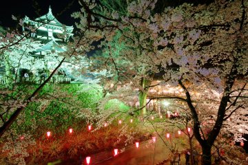 Takada Castle Sakura Festival