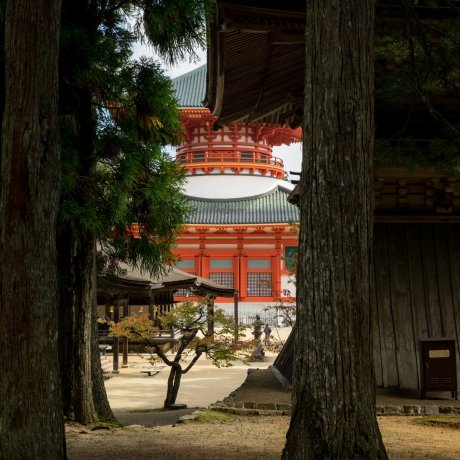 Koyasan
