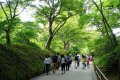 Hiraizumi