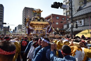 Hachioji Festival