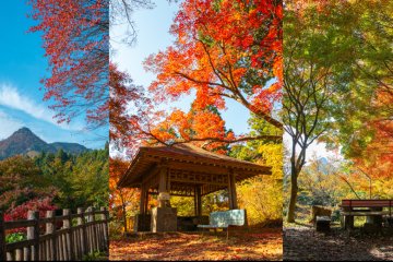 Mount Mitake Tenku Maple Festival