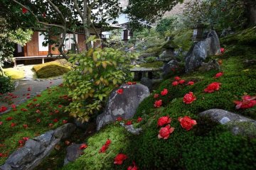 Reikanji Temple Camellia Event