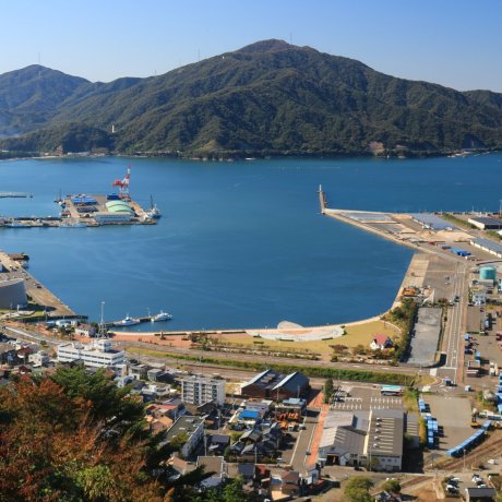 Tsuruga