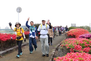 Kurume Azalea March