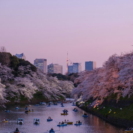 Seasons in Japan