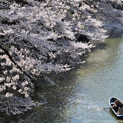 Boat Rental