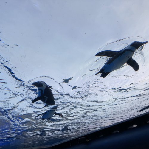 Sunshine Aquarium
