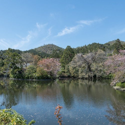 Kyoyochi Pond