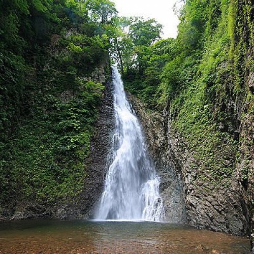 Shirakami-Sanchi