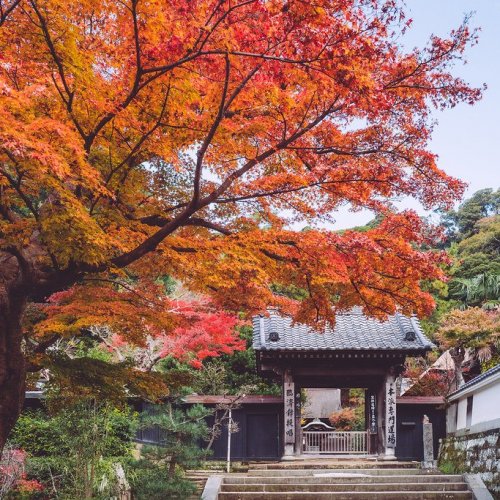 Engakuji Temple