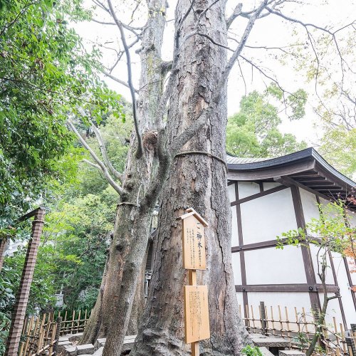 Kawagoe Hikawa Shrine